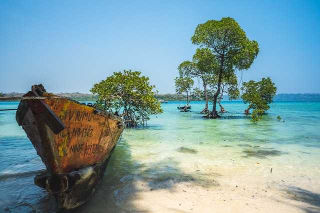 When to go to Andaman and Nicobar?