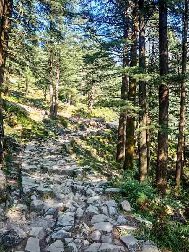 McLeodganj, 15 Best places in India for foreign travelers