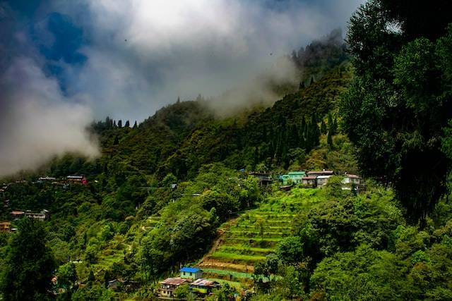 15 Best places in India for foreign travelers, darjeeling